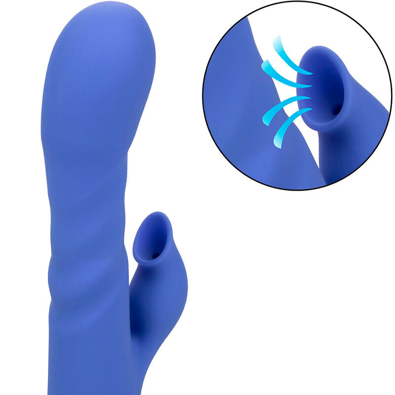 CALEXOTICS - VIBRATEUR & SUCKER LA LOVE BLEU PAR CALIFORNIA DREAMING - Sensualia