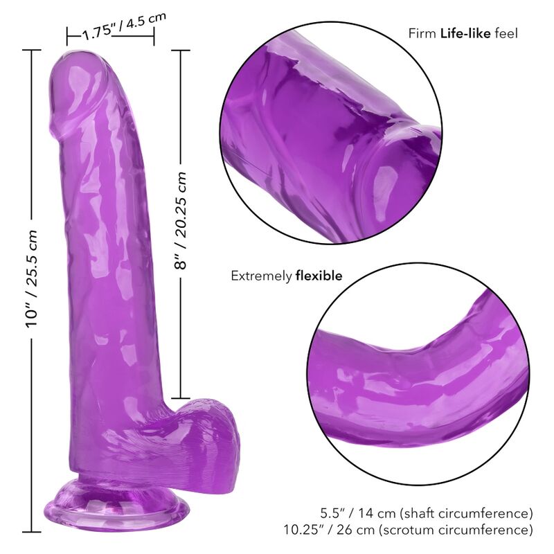 CALEXOTICS - GODE REINE TAILLE VIOLET 20.3 CM - Sensualia
