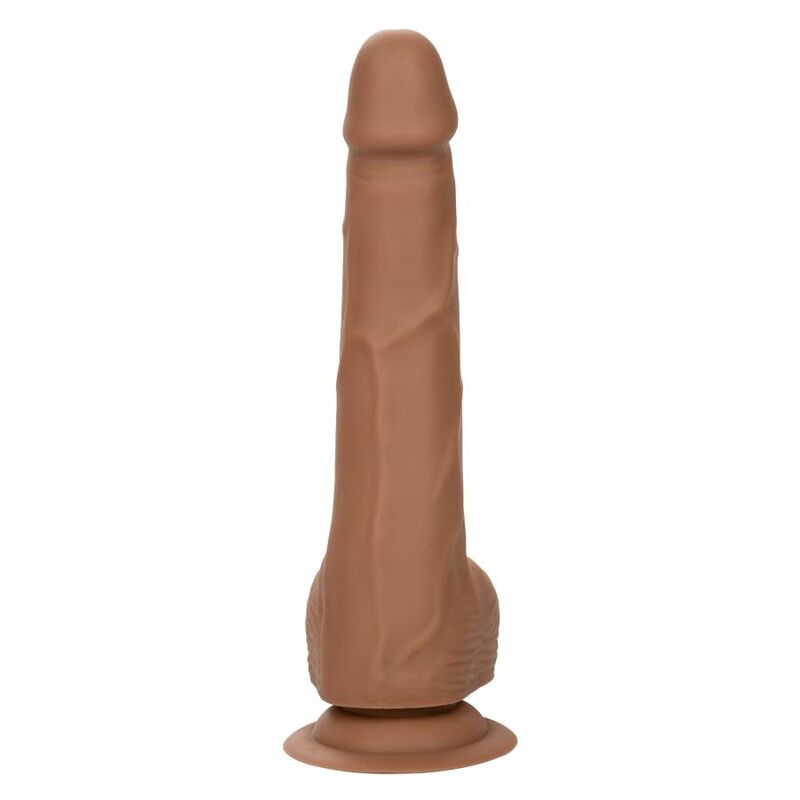 CALEXOTICS - CLOUS EN SILICONE 20.32 CM MARRON - Sensualia