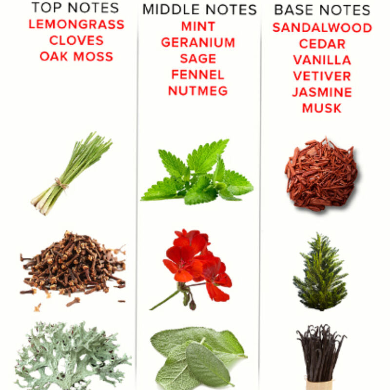 EYE OF LOVE - PARFUM AUX PHÉROMONES EOL 10 ML - ROMANTIC - Sensualia