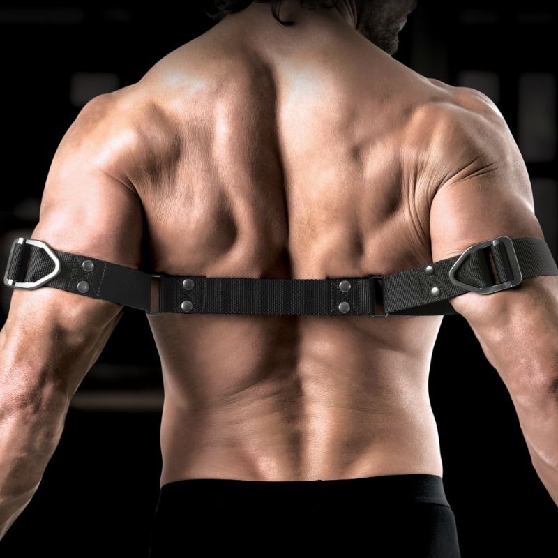 SIR RICHARDS - COMMANDEMENT BICEPS BENDER - Sensualia