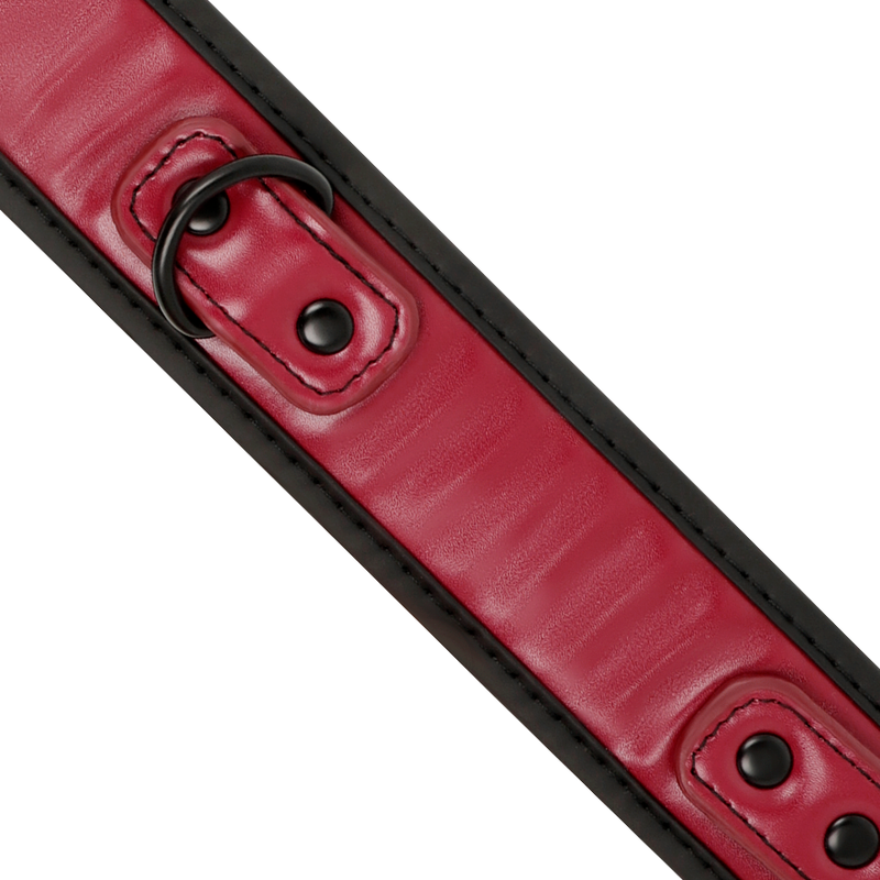 FETISH SUBMISSIVE DARK ROOM - COLLIER CHAÎNE DOUBLURE EN NÉOPRÈNE - Sensualia