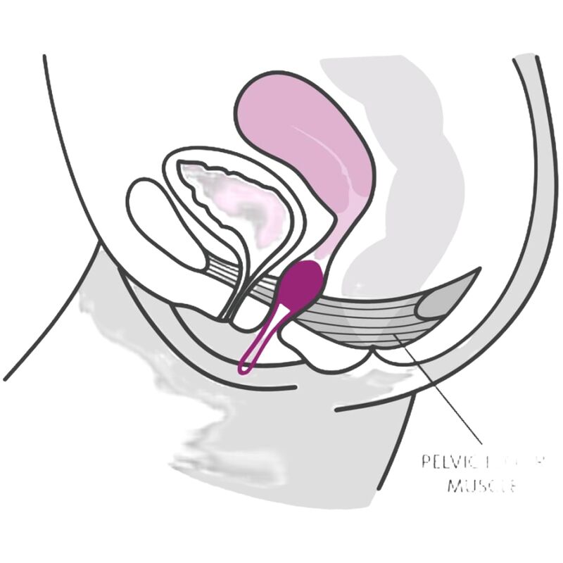 FUN FACTORY - SMARTBALL UNO PELVIC BALL BLANC / VIOLET PASTEL - Sensualia