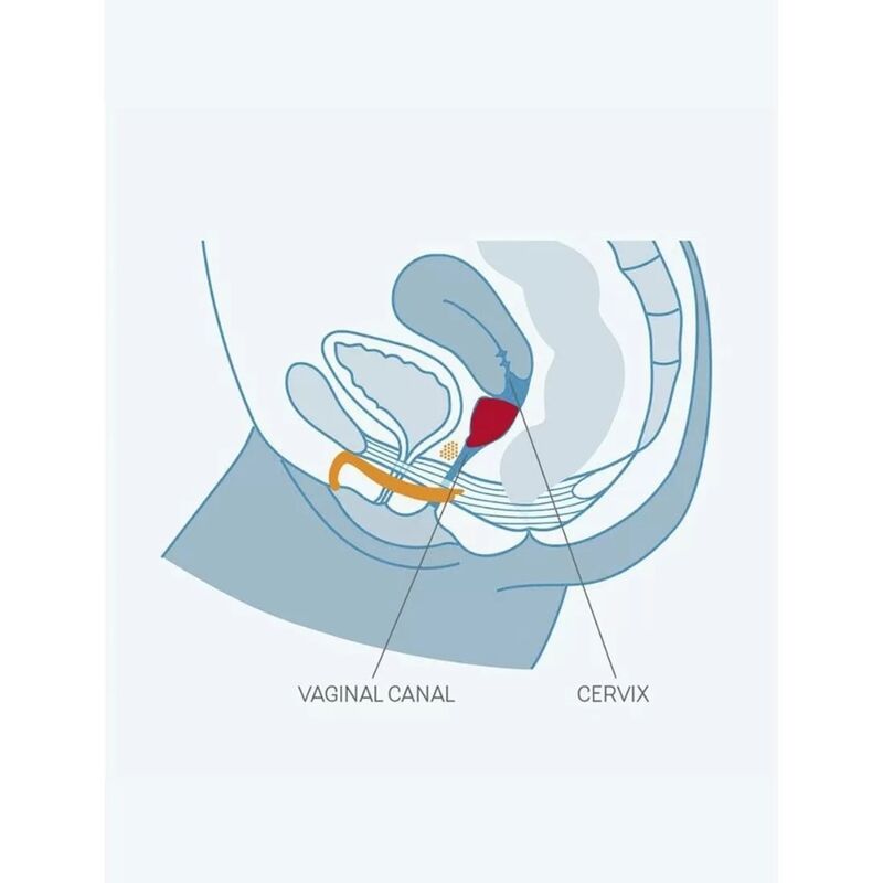 FUN FACTORY - FUN TASSE TAILLE UNIQUE A TURQUOISE - Sensualia