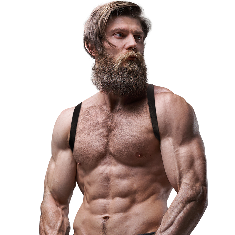 FETISH SUBMISSIVE ATTITUDE - HARNAIS DOS EN CUIR ÉCOLOGIQUE POUR HOMMES - Sensualia