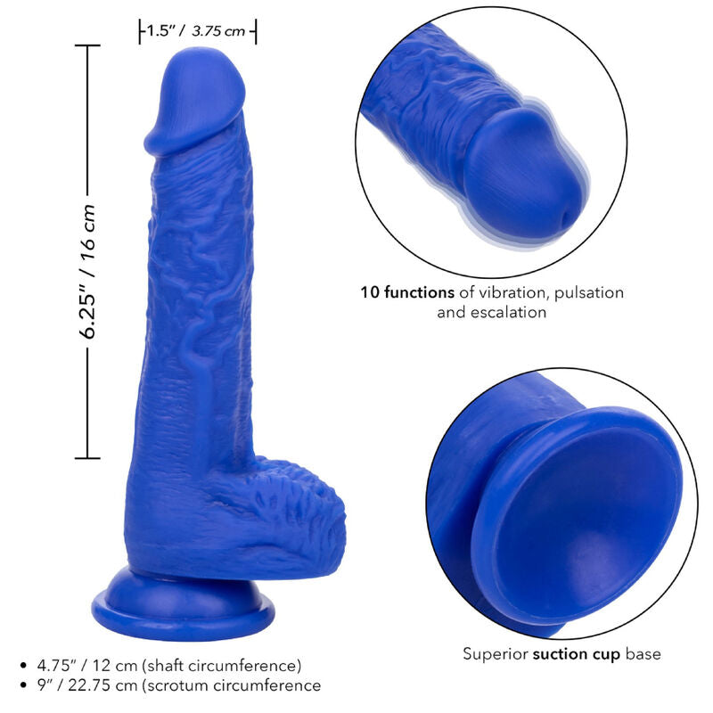 CALEXOTICS - ADMIRAL VIBRATEUR GODE RÉALISTE SAILOR BLEU - Sensualia