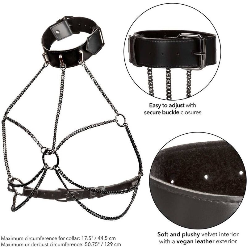CALEXOTICS - EUPHORIA HARNAIS COLLIER MULTI CHAÎNES TAILLE PLUS - Sensualia