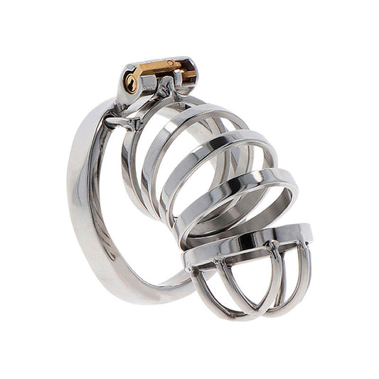 HIDDEN DESIRE - EXTREME CAGE DE CHASTETÉ EN MÉTAL - Sensualia