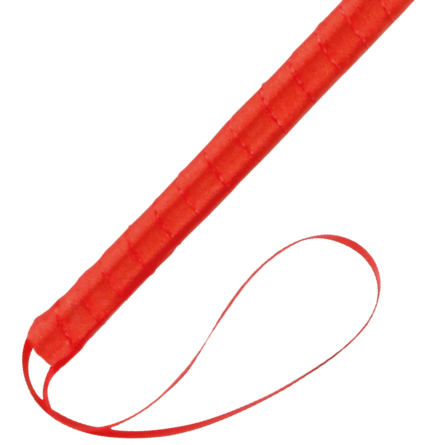 DARKNESS - STYLO STIMULANT ROUGE 24CM - Sensualia