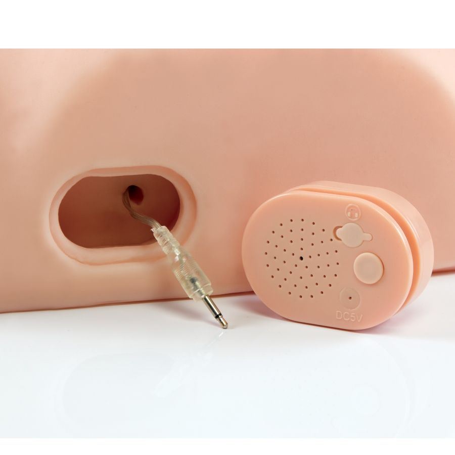 PDX MALE - INTERACTIF BAISEZ-LE SILLY - Sensualia