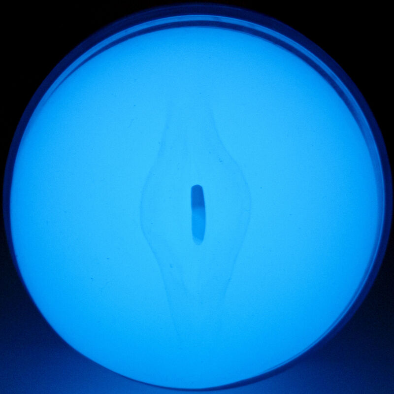 KIIROO - SENTEZ GLOW IN THE DARK STROKER - Sensualia